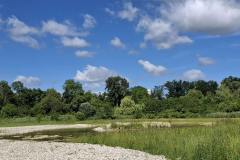 PHOTO-2026-06-13-19-50-07-4-1