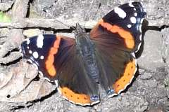 PHOTO-2026-06-13-19-50-27-1